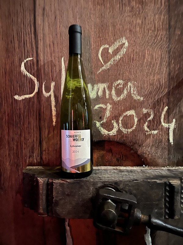 Sylvaner