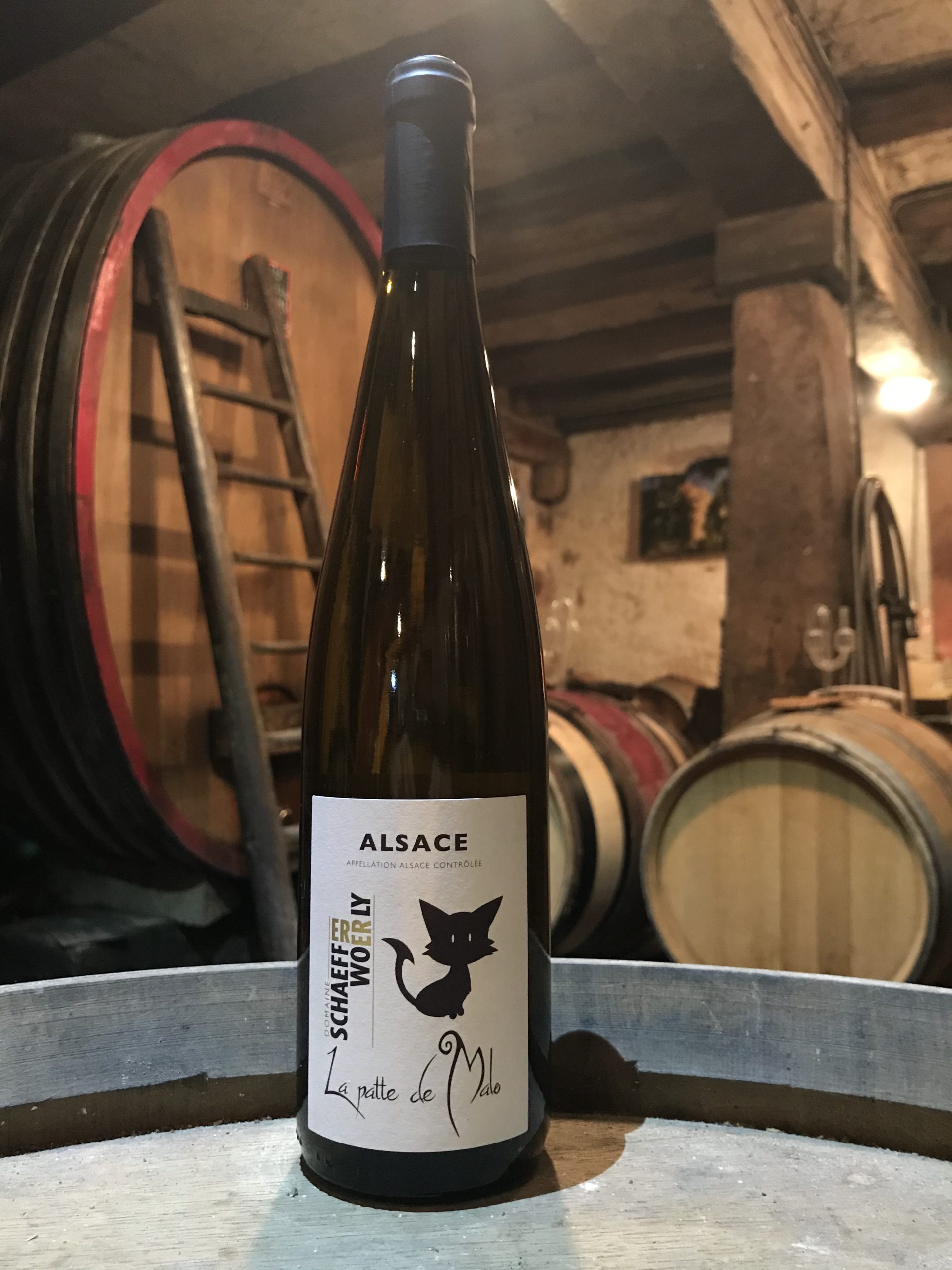 Pinot Gris – Patte de Malo