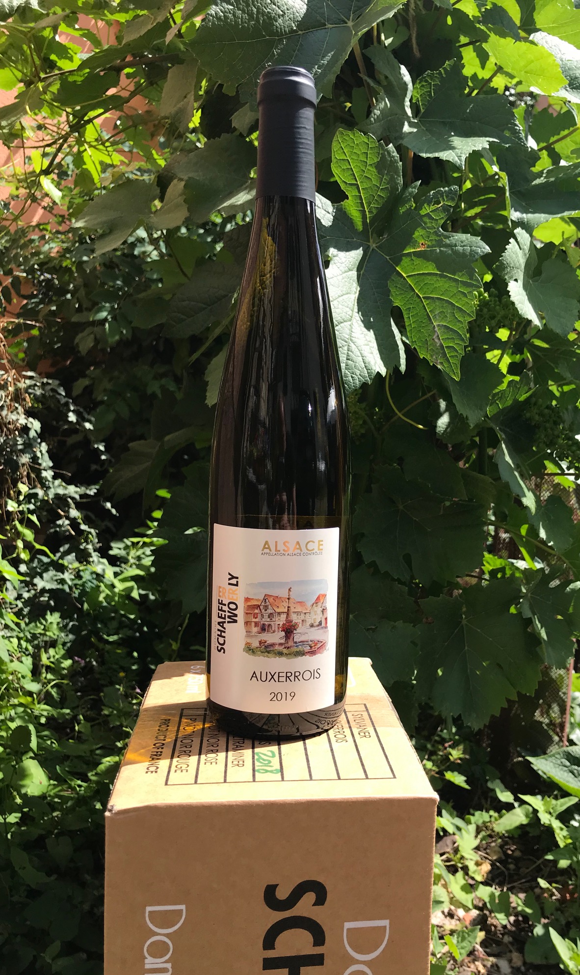 Auxerrois Auxerrois