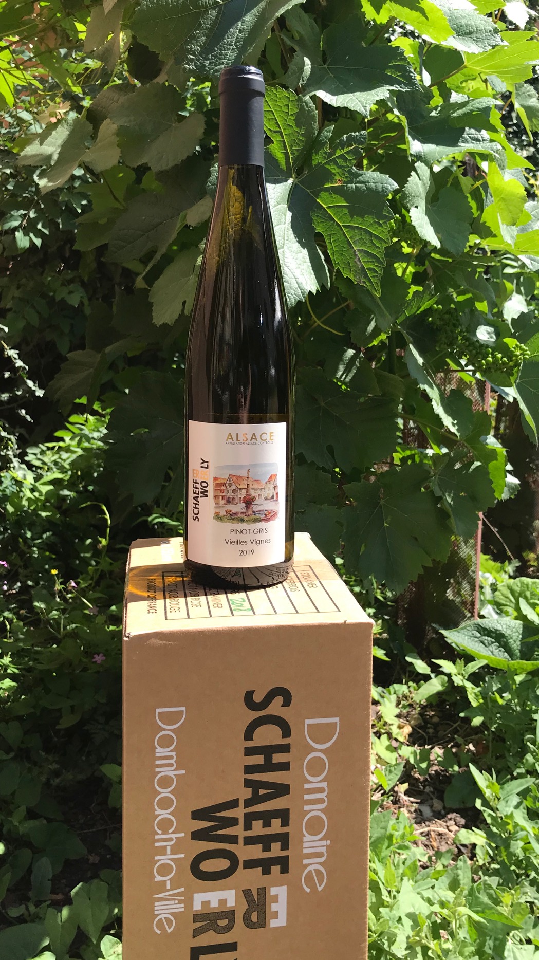 Pinot Gris Vieilles Vignes Pinot Gris Vieilles Vignes