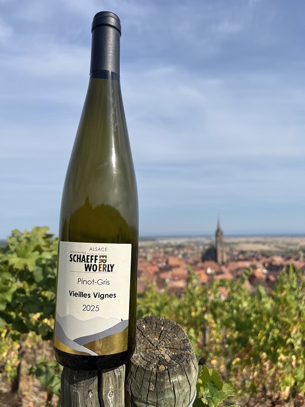 Pinot Gris Vieilles Vignes
