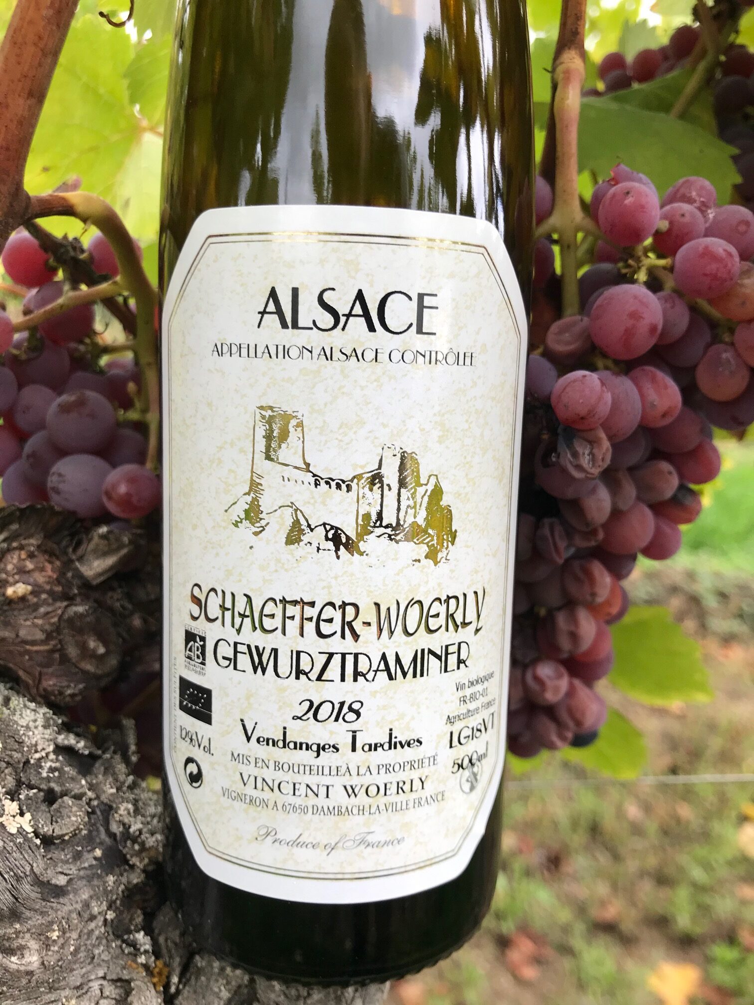 Gewurztraminer Vendanges Tardives Gewurztraminer Vendanges Tardives