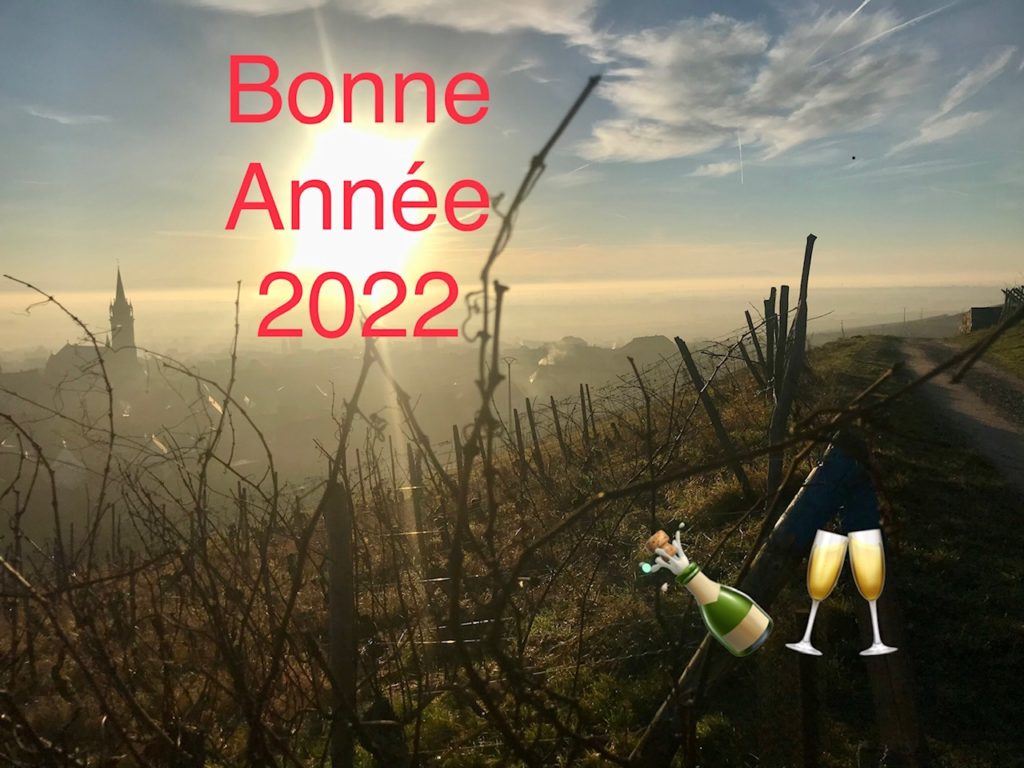 Bienvenue au millésime 2022 !!