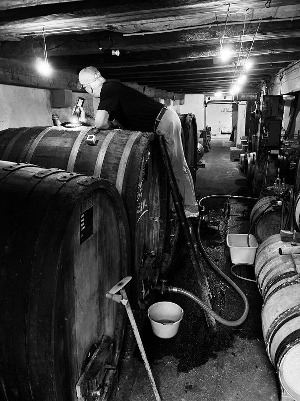  Vigneron bio soutirant un tonneau dans la cave, avant la mise en bouteille du 24 juillet 2025