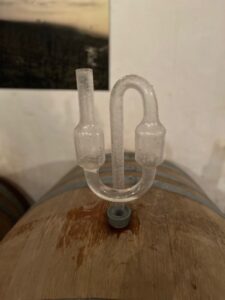 Vigneron bio vin d’Alsace: terroirs et levures indigènes
