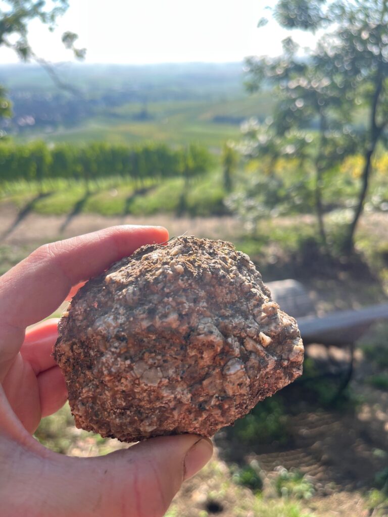 Granitstein aus dem Grand Cru Frankstein mit sichtbaren Quarz‑ und Feldspatadern