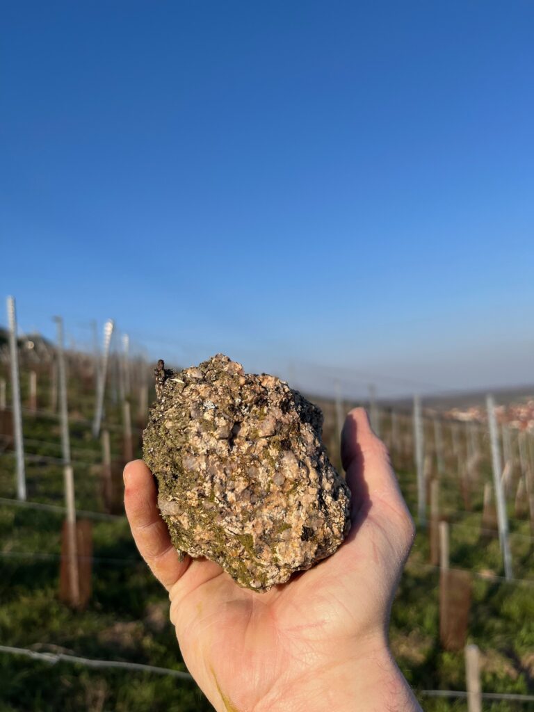 morceau de granit tenu dans la main dans le vignoble alsacien
