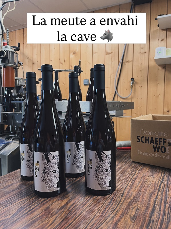 Bottle of the new cuvée Le Loup, an organic Pinot Noir and Muscat blend by Domaine Schaeffer-Woerly in Alsace.