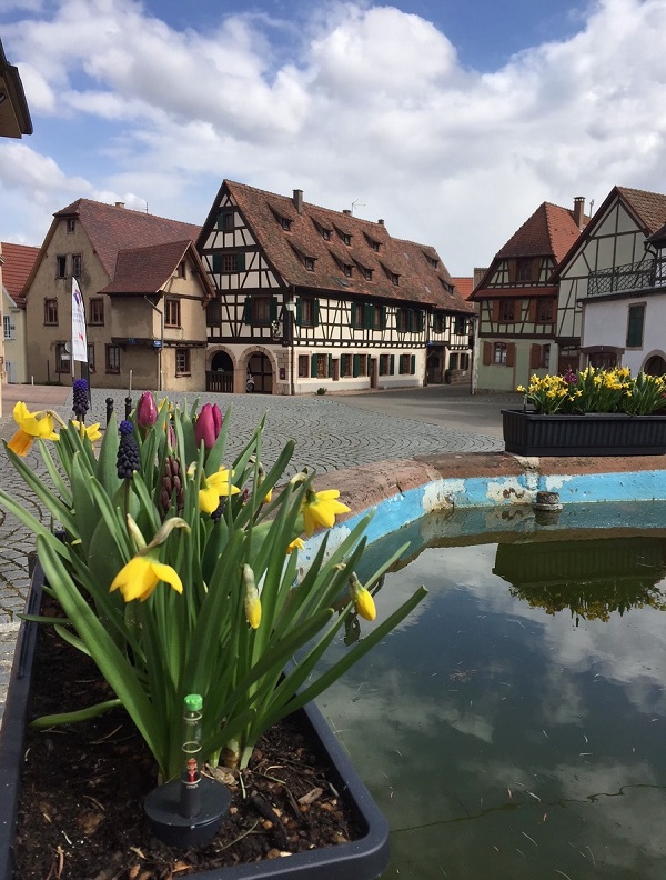 Der Erwachen der Natur im Weingut: Ostern und die Wiedergeburt der Reben feiern