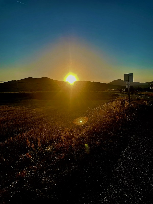 Coucher de soleil et ambiance d'éclipse derrière la colline et les vignes de Dambach-la-Ville, Domaine Schaeffer-Woerly en Alsace.