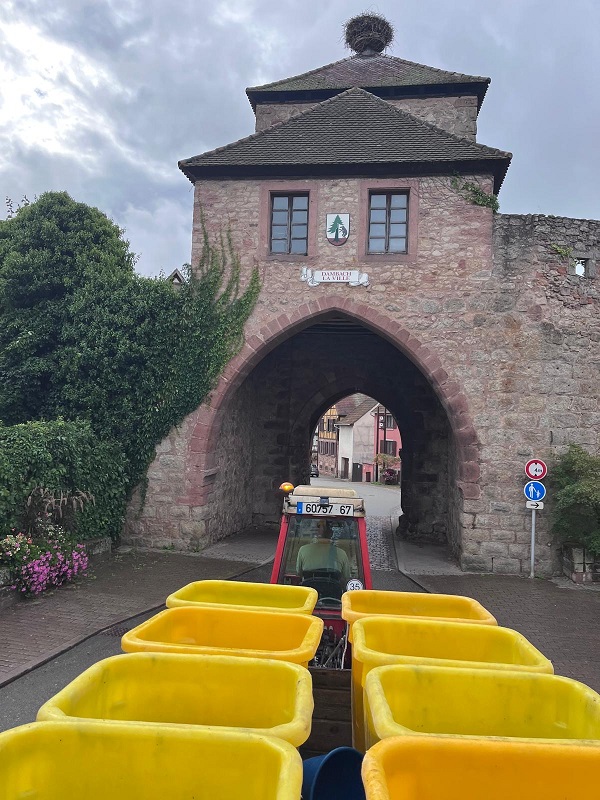 Organic winemaker from Domaine Schaeffer-Woerly driving a tractor through the ancient stone gates and medieval towers of Dambach-la-Ville in Alsace.