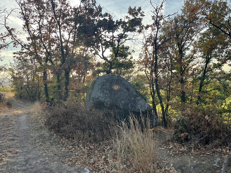Rocher granitique du vignoble décoré avec des yeux en céramique pour ressembler à un dragon.