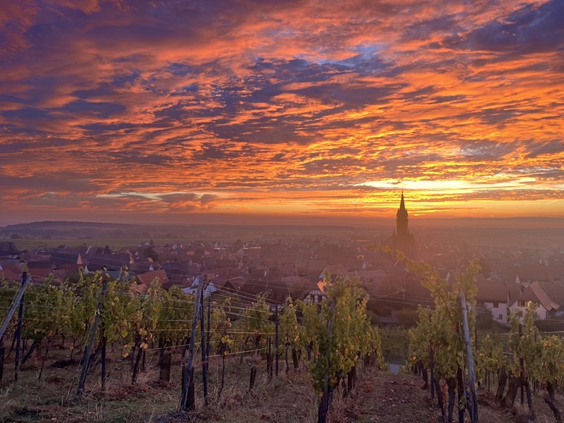 Blazing dawn sky above the winegrowing village of Dambach-la-Ville just before sunrise behind the Black Forest.